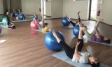 gym-wellness_2